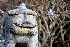 今年もよろしくお願いします。