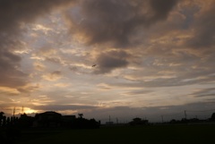 dawn