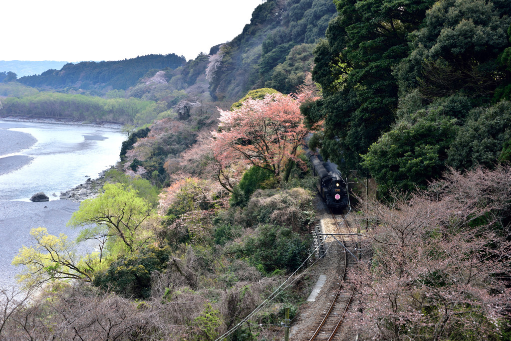 大井川鉄道