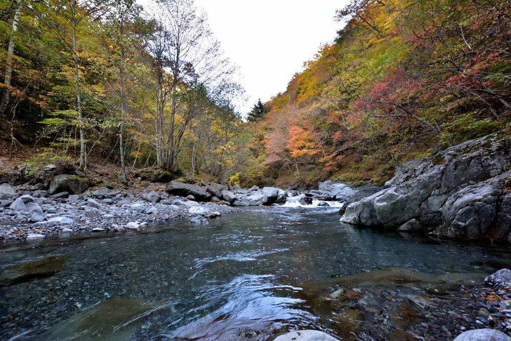 赤石沢川