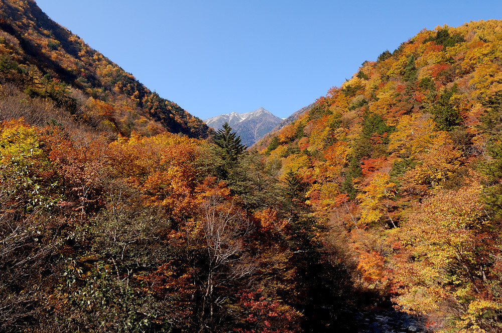 牛首峠から望む赤石岳