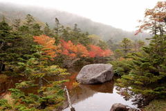 北八ヶ岳　七ツ池　紅葉１