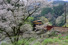 大井川鉄道 笹間渡橋梁