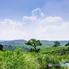 フォトブラ  平尾台の風景（茶ヶ床）