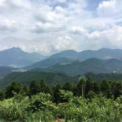 由布岳と・・・