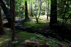 石山寺ぶらり散歩⑧