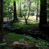 石山寺ぶらり散歩⑧