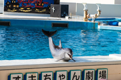 沖縄08