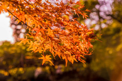 石山寺05