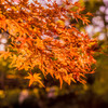 石山寺05