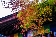 石山寺03