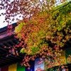 石山寺03