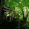 石山寺ぶらり散歩⑦