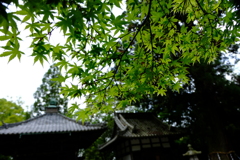 石山寺ぶらり散歩⑤