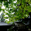 石山寺ぶらり散歩⑤