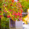 石山寺01