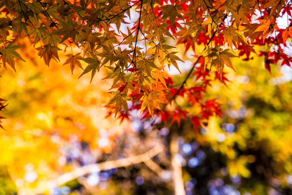 石山寺07