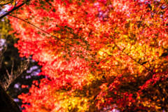 石山寺02