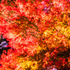 石山寺02