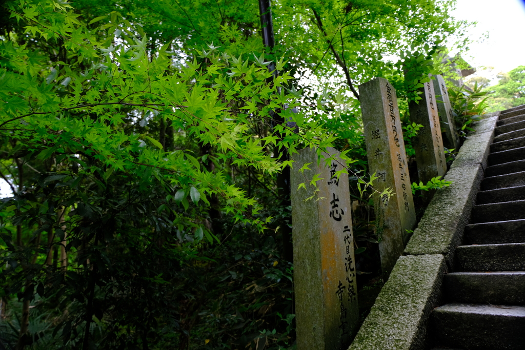 石山寺ぶらり散歩④