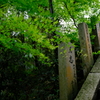 石山寺ぶらり散歩④