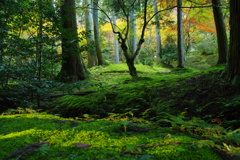石山寺09 リアレゾ