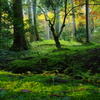 石山寺09 リアレゾ