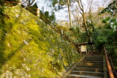 苔生す階段