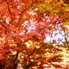 石山寺08