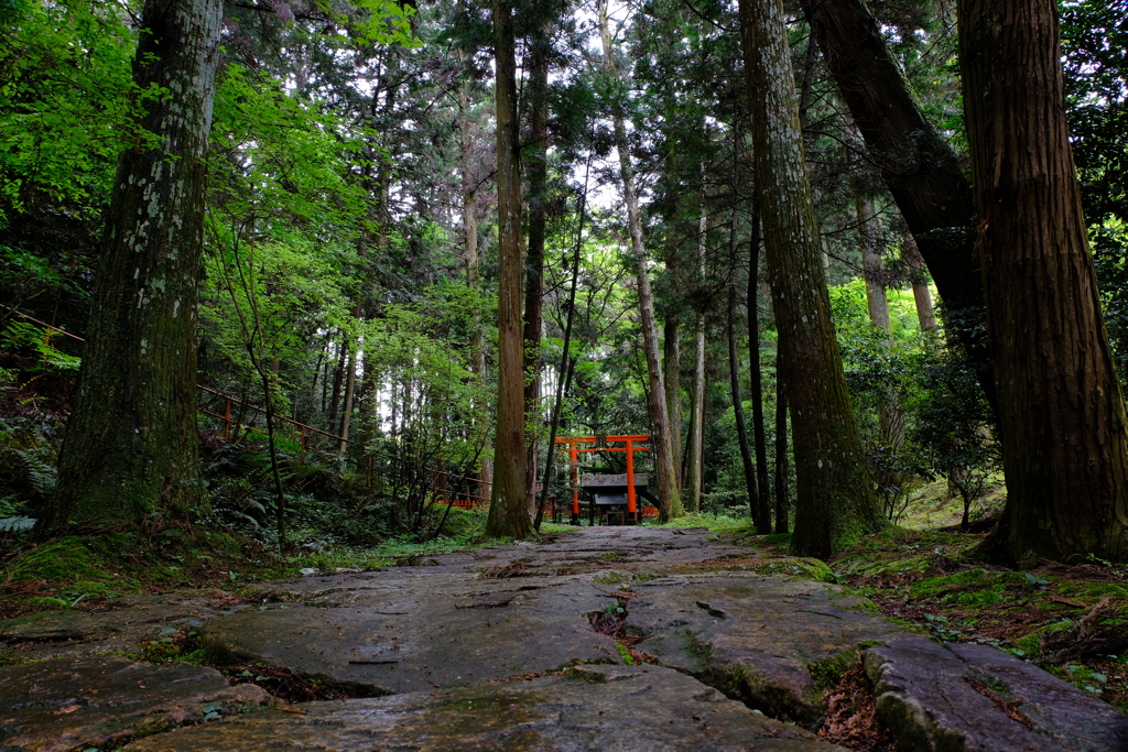 石山寺ぶらり散歩⑨