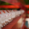 岡崎神社のウサギたち