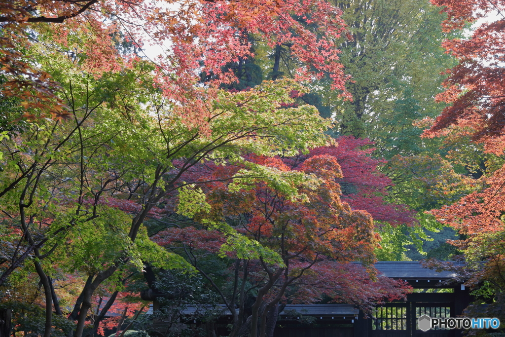 平林寺02