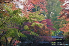 平林寺02