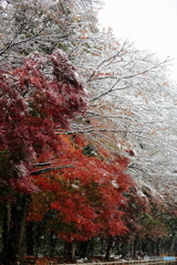 平林寺 (2)