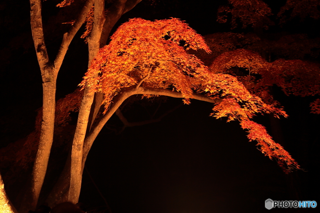 月の石もみじ公園 (3)