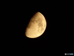 DSC01658