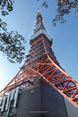 東京タワー