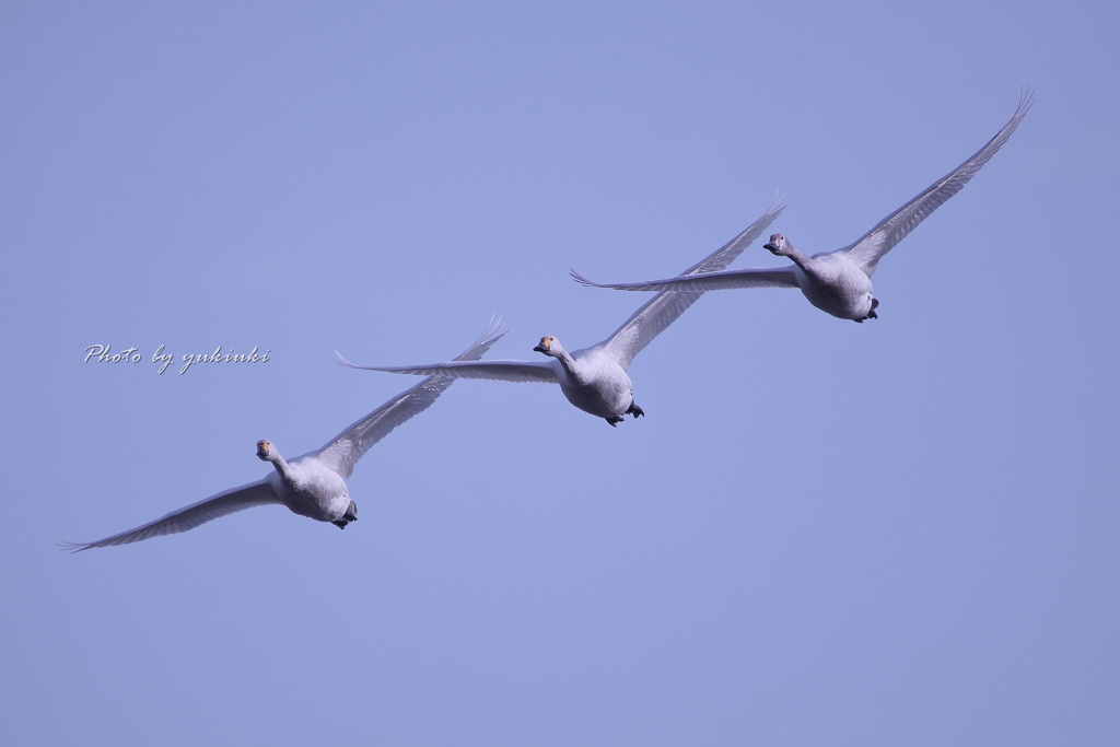 Jet stream attack
