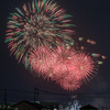 夏を彩る花