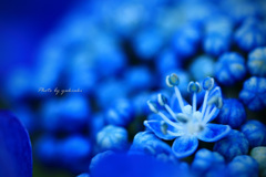 Deep Blue