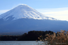 河口湖から望む富士