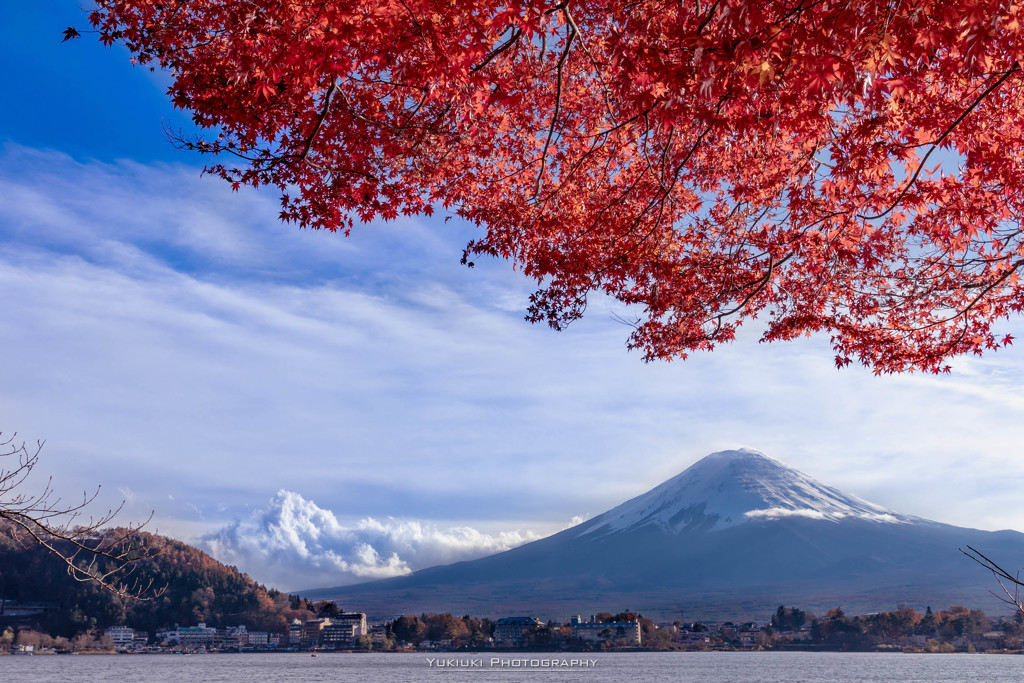 もうすぐ紅葉の季節Ⅰ