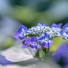 Melting blue