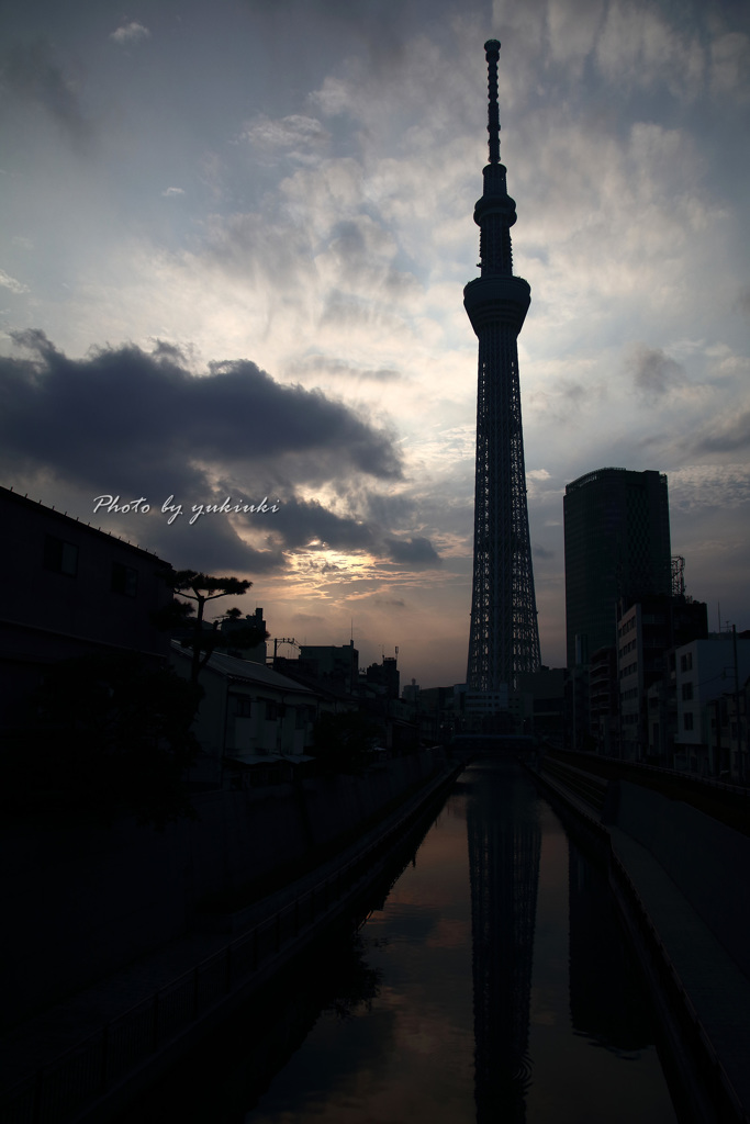 Sunset Skytree Ⅰ