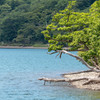 大沼（おの）