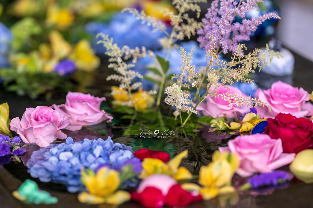 花手水Ⅰ