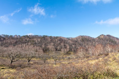 赤城白樺牧場Ⅳ