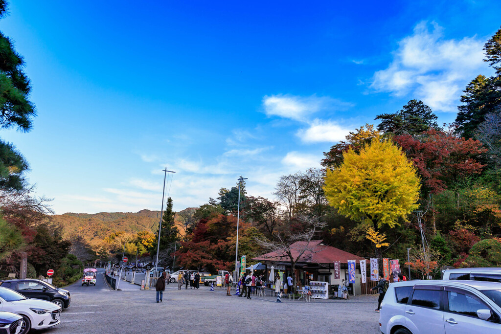 宝登山神社Ⅴ