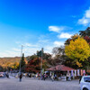 宝登山神社Ⅴ