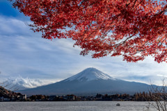 河口湖の紅葉